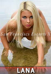Berkeley Escorts Lana is one of the Berkeley escorts who loves being on all fours